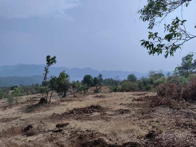Agricultural Land 7 Ares for Sale in Mulshi, Pune