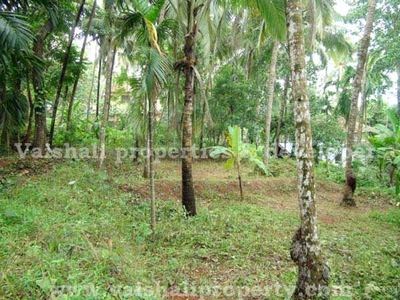 Near Cyber Park Kozhikode For Rent - Latest Listings And Prices - Waa2