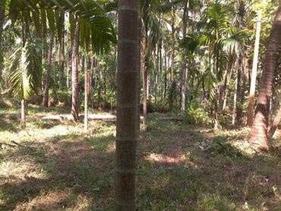 Agricultural Land 76665.6 Sq.ft. for Sale in