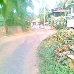 Agricultural Land 80 Cent for Sale in Kolazhy, Thrissur