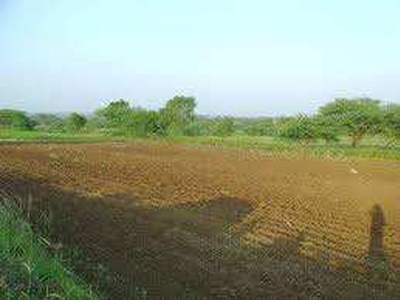 Residential Plot 8.5 Bigha for Sale in Borsad, Anand