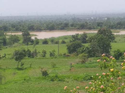 Agricultural Land 9 Acre for Sale in Narkhed, Nagpur
