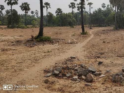 Agricultural Land 1 Acre for Sale in Kalpakkam To Vandalur Road, Chennai
