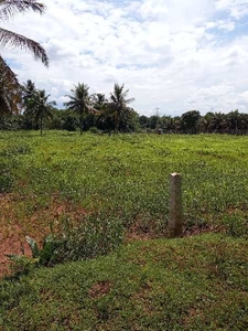 Agricultural Land 1 Acre for Sale in Vadakkipalayam, Coimbatore