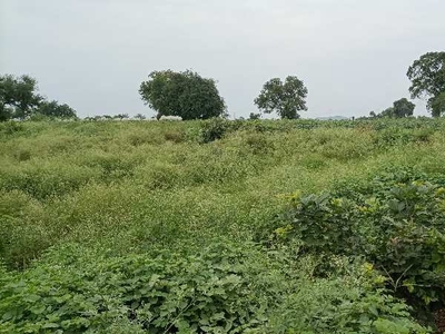 Agricultural Land 1 Bigha for Sale in Kanadia Road, Indore
