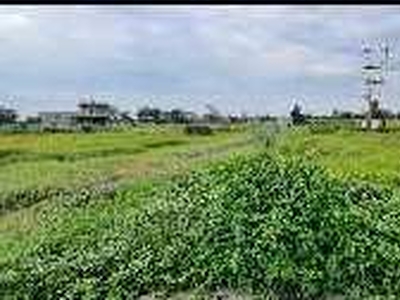 Agricultural Land 10 Acre for Sale in Chitodiya Lakha Sehore