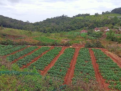 Agricultural Land 10 Ares for Sale in Kotagiri, Ooty