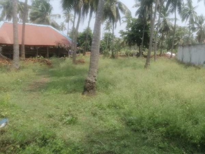 Agricultural Land 10 Cent for Sale in