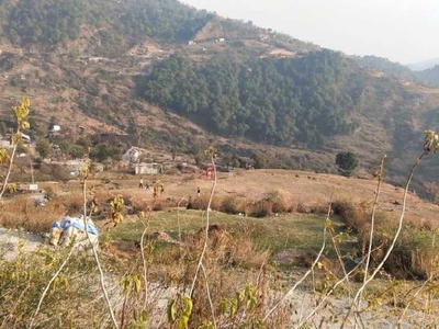 Agricultural Land 10 Marla for Sale in Khanyara Road, Dharamsala