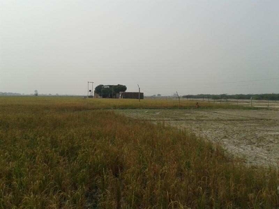 Agricultural Land 100 Acre for Sale in Civil Lines, Budaun