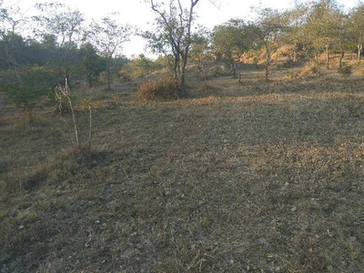 Agricultural Land 100 Marla for Sale in Bangana, Una