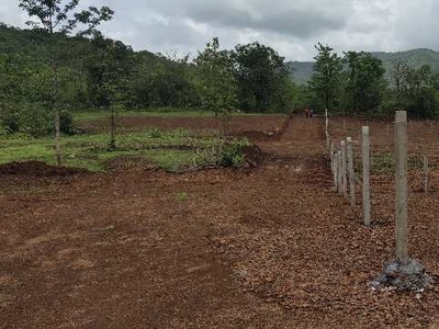 Agricultural Land 10000 Sq.ft. for Sale in Tala, Raigad
