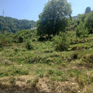 Agricultural Land 12 Acre for Sale in