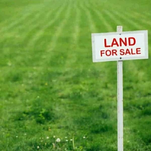 Agricultural Land 121 Sq. Yards for Sale in Jangaon, Warangal
