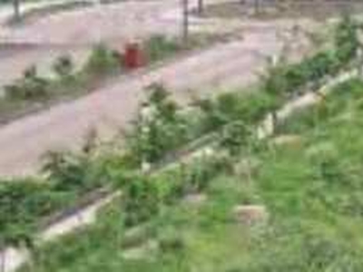 Agricultural Land 13 Bigha for Sale in Sirhind Road, Patiala