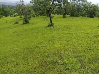 Agricultural Land 15 Acre for Sale in