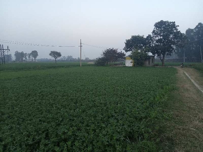 Agricultural Land 15 Acre for Sale in Ram Nagar, Karnal