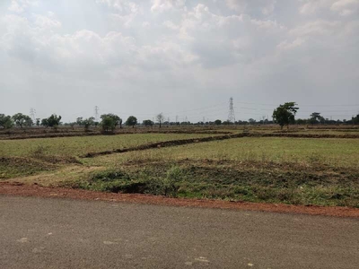 Agricultural Land 2 Acre for Sale in Dharsiwa, Raipur