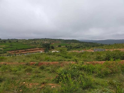 Agricultural Land 2 Acre for Sale in Hosur Road, Bangalore