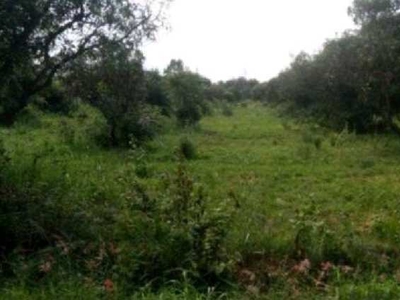 Agricultural Land 2 Acre for Sale in Kr Puram, Bangalore