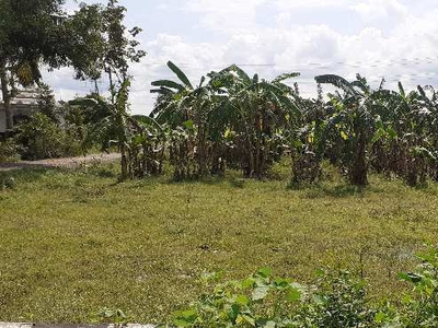 Agricultural Land 2 Acre for Sale in Nellikuppam, Cuddalore