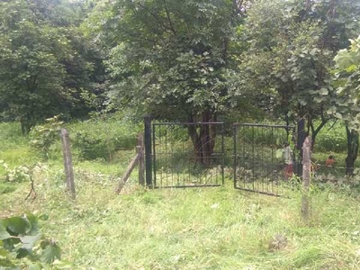 Agricultural Land 23681 Sq.ft. for Sale in Mangaon, Raigad