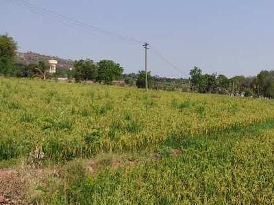Agricultural Land 3 Ares for Sale in Bogaram, Hyderabad