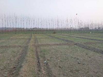 Agricultural Land 30 Bigha for Sale in