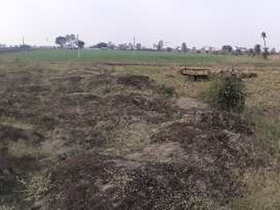 Agricultural Land 31500 Sq.ft. for Sale in Kotra Sultanabad, Bhopal