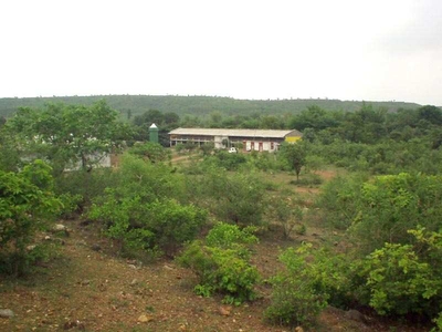 Agricultural Land 35 Acre for Sale in Bhedaghat, Jabalpur