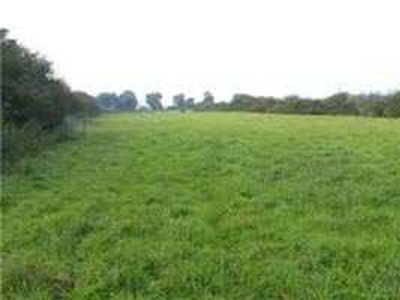 Agricultural Land 4 Acre for Sale in Arang, Raipur