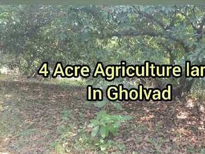 Agricultural Land 4 Acre for Sale in Gholvad, Palghar