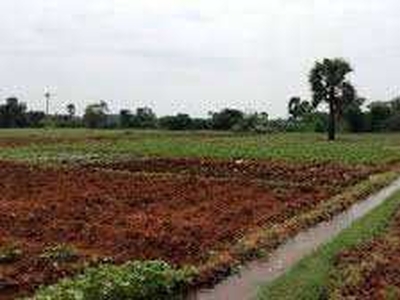 Agricultural Land 4 Acre for Sale in Kolad, Raigad