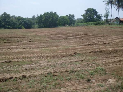 Agricultural Land 4 Ares for Sale in Gubbi, Tumkur