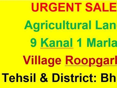 Agricultural Land 49277 Sq.ft. for Sale in Dadri, Bhiwani