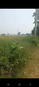 Agricultural Land 5 Acre for Sale in Aligarh Road, Palwal