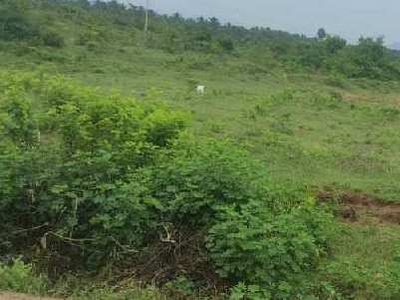 Agricultural Land 5 Acre for Sale in Belur, Salem