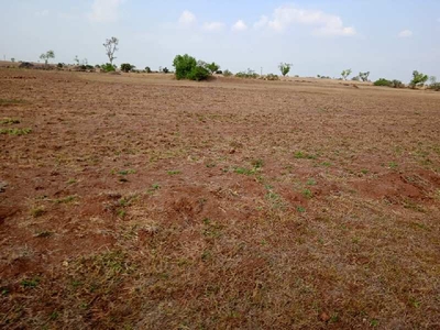 Agricultural Land 5 Acre for Sale in Khanapur, Sangli