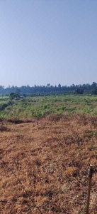 Agricultural Land 50 Bigha for Sale in