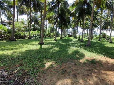 Agricultural Land 60 Cent for Sale in Periyanaickenpalayam, Coimbatore