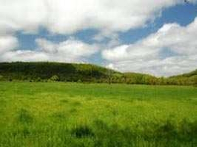 Agricultural Land 70 Acre for Sale in Urla, Raipur