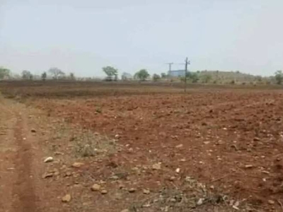 Agricultural Land 8 Acre for Sale in Katol, Nagpur