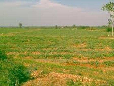 Agricultural Land 8380 Sq. Yards for Sale in Garh Road, Meerut
