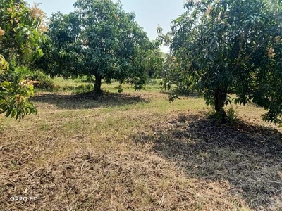 Agricultural Land 900 Sq. Yards for Sale in Atul, Valsad