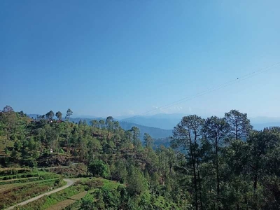 Agricultural Land 9600 Sq. Yards for Sale in Kausani, Almora