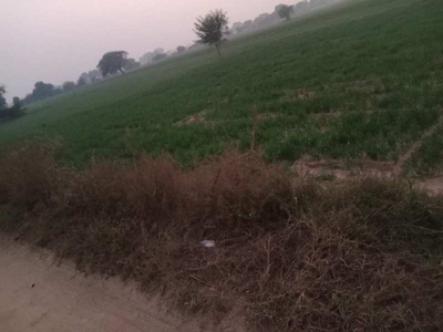 Agricultural Land 20 Acre for Sale in Pataudi, Gurgaon