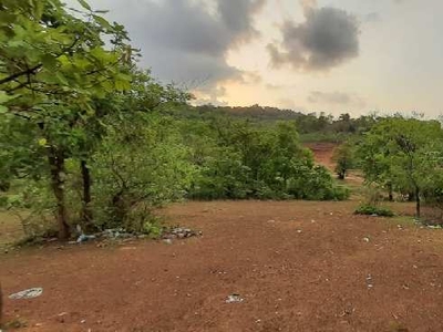 Agricultural Land 70 Ares for Sale in Roha, Raigad