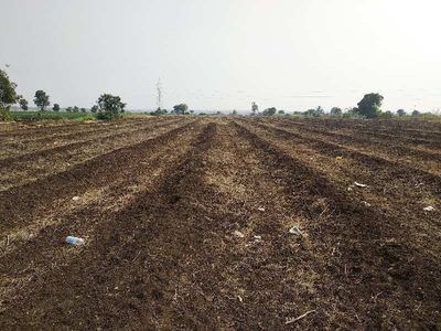 Agricultural Land 3 Acre for Sale in Shirur, Pune