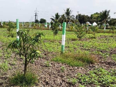 Agricultural Land 9600 Sq.ft. for Sale in Utheera Merur, Chennai