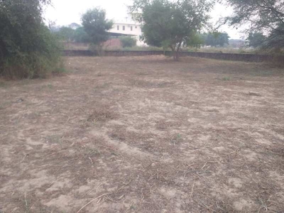 Commercial Land 30 Marla for Sale in Bagha Purana, Moga